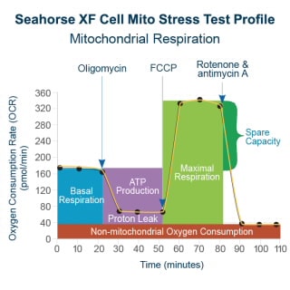 Seahorse XF Cell Mito Stress Test Kit