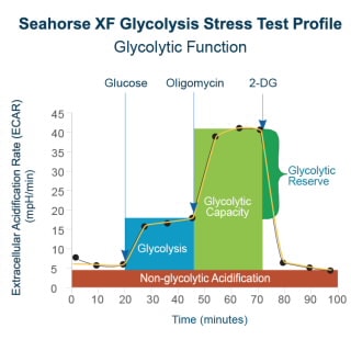 Seahorse XF Glycolysis Stress Test Kit
