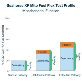 Seahorse XF Mito Fuel Flex Test Kit