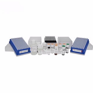 GlykoPrep-plus for N-glycan Sample Prep with AssayMAP Bravo GlykoPrep-plus for N-glycan Sample Prep with AssayMAP Bravo