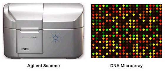 Afbeeldingsresultaat voor DNA microarray