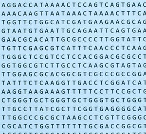 DNA Sequencing Results