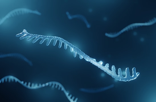 Illustration of microRNA