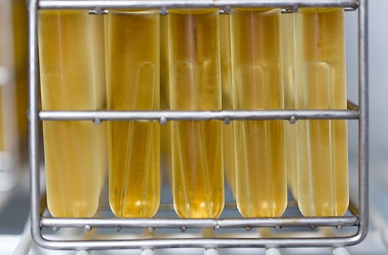 Photo of scientific vials of honey in storage