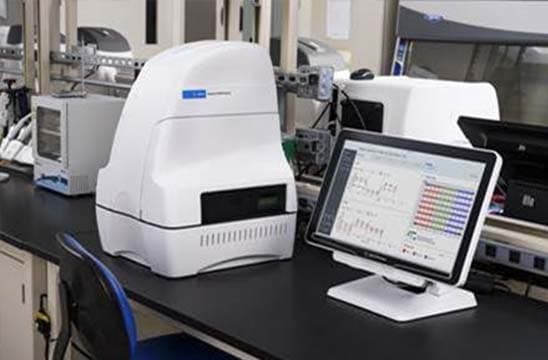 Seahorse Real-Time Metabolic Analysis