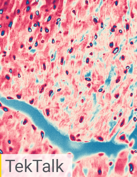 Characterization of Cell Health and Morphology