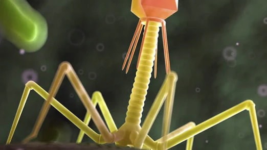 University of California Irvine