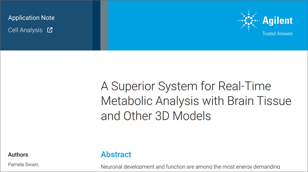 A Superior System for Real-Time Metabolic Analysis with Brain Tissue and Other 3D Models 