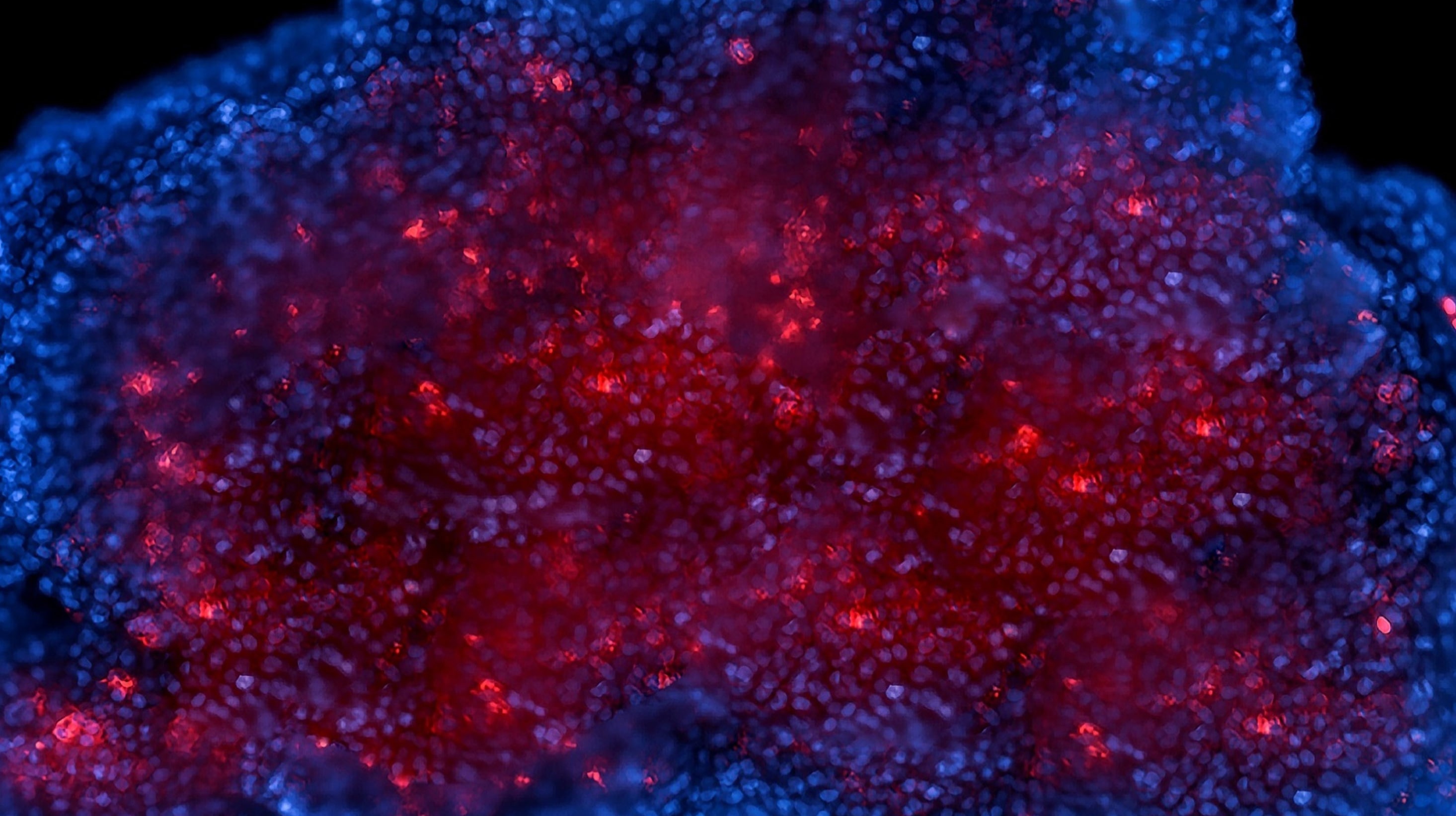 LUCS: An Innovative Cell-based Assay Technology