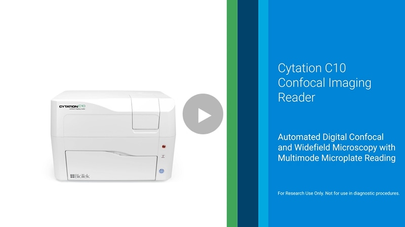 Zebrafish and Lionheart: A Perfect Match