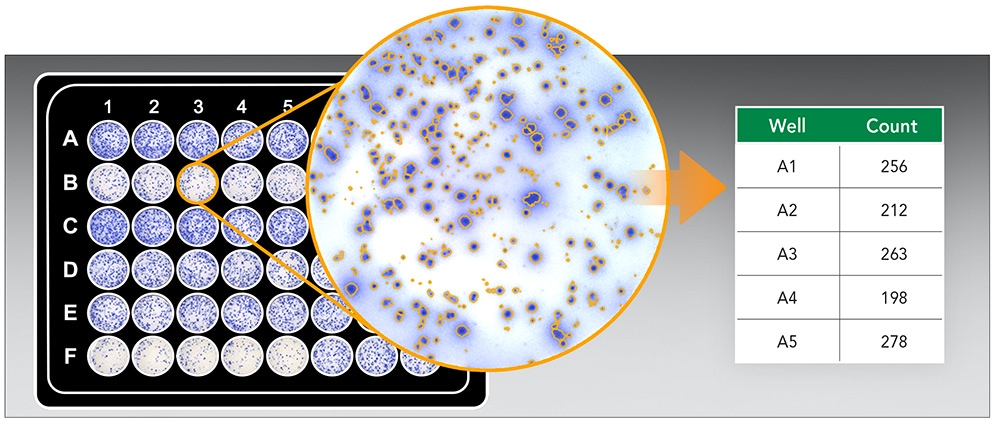 Cytation 7 Cell Imaging Multi-Mode Reader