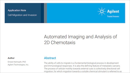 Automated Imaging and Analysis of 2D Chemotaxis