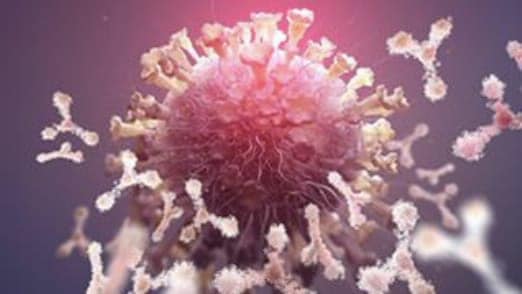 Icahn School of Medicine