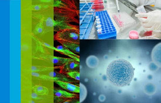 Agilent BioTek 406 FX Microplate Washer Dispenser: Technology-Driven Application Diversity and Workflow Efficiency