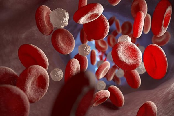 NPing in and out of the stem cell genome with CRISPR/Cas9 to investigate cardiovascular disease