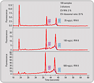 example RIN results