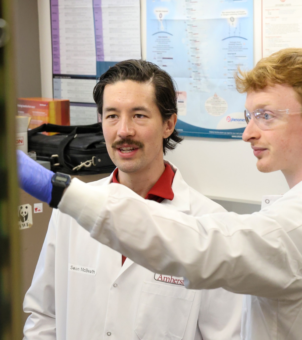 Description of the fourth image