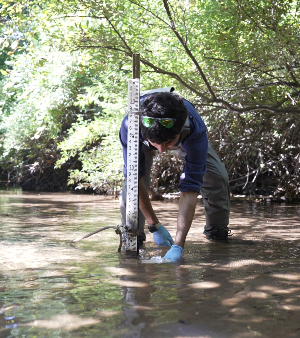 Description of the second image