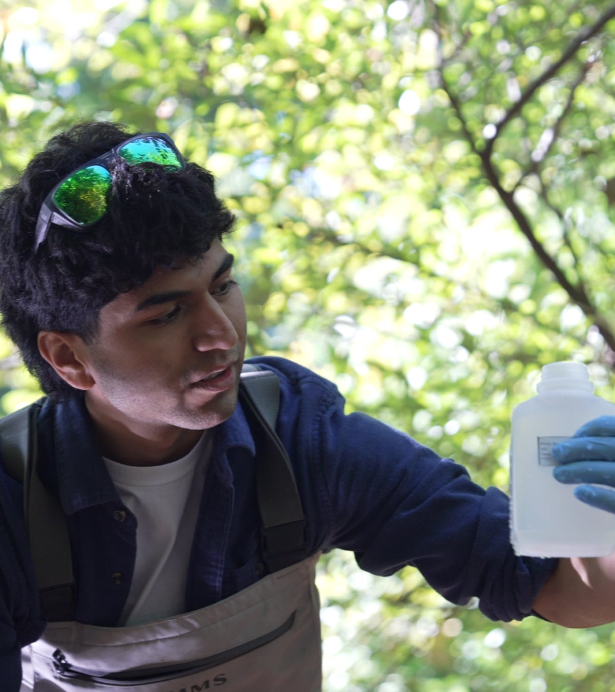 Description of the image