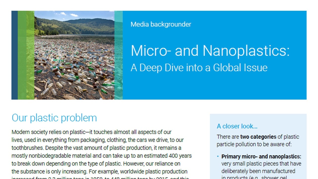 Micro- and Nanoplastics: A Deep Dive into a Global Issue