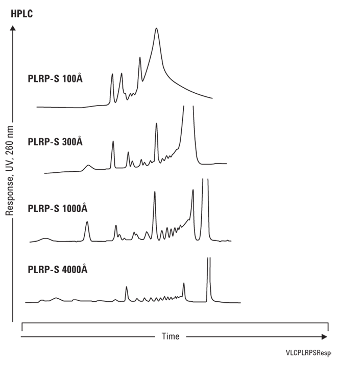 25 bp DNA 分子量的 HPLC
