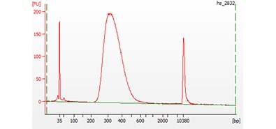 A short-read sequencing library analyzed on a 2100 Bioanalyzer system with a High Sensitivity DNA kit.