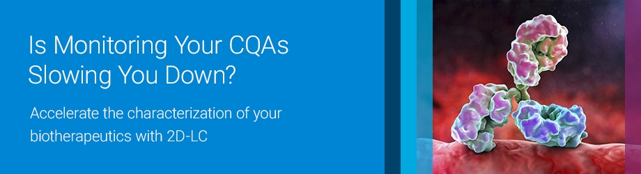 Are You Seeing the Whole Picture?