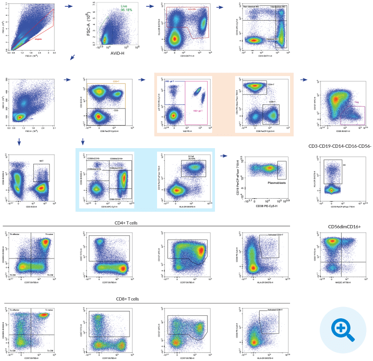 Above, we show a 18-color pan-leukocyte immunophenotyping panel on PBMCs using the NovoCyte Quanteon, adapted from OMIP-024 (Cytometry Part A, 85A:995-998, 2014). This panel was designed to monitor different immune subsets with activation and differentiation markers.