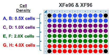 Cell density XFe96
