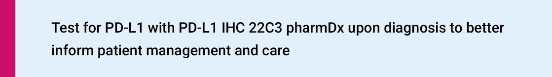 Test for PD-L1 with PD-L1 IHC 22C3 pharmDx upon diagnosis to better inform patient management and care