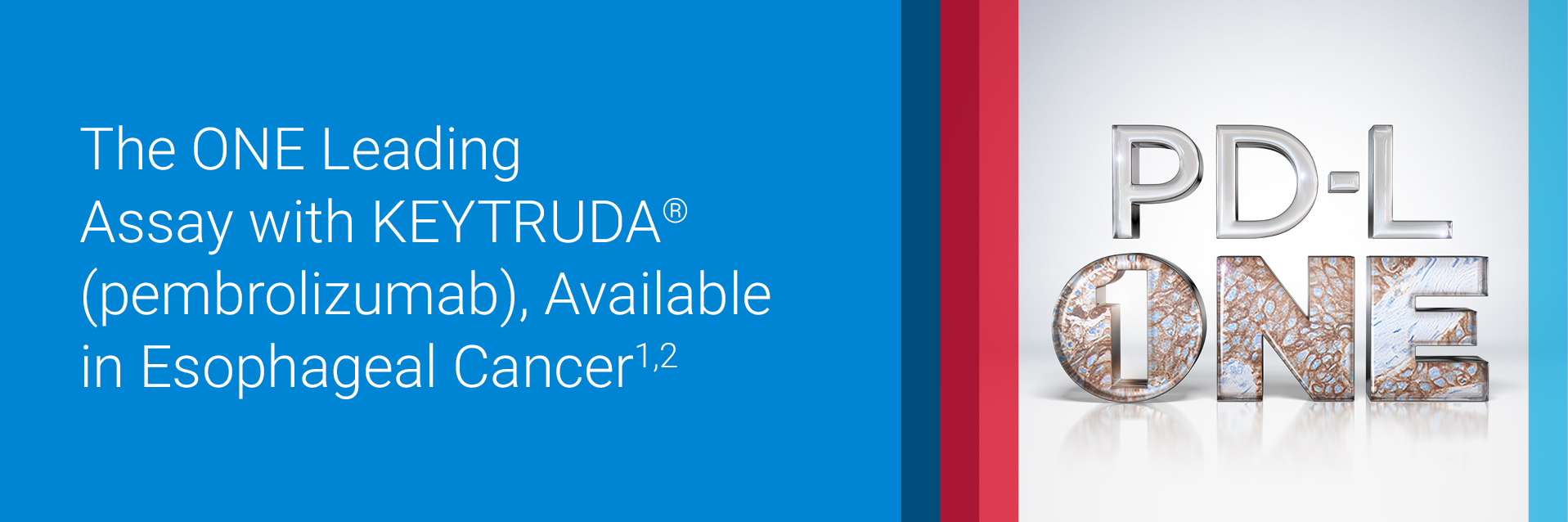 The ONE Leading Assay with KEYTRUDA, Available in Esophageal Cancer