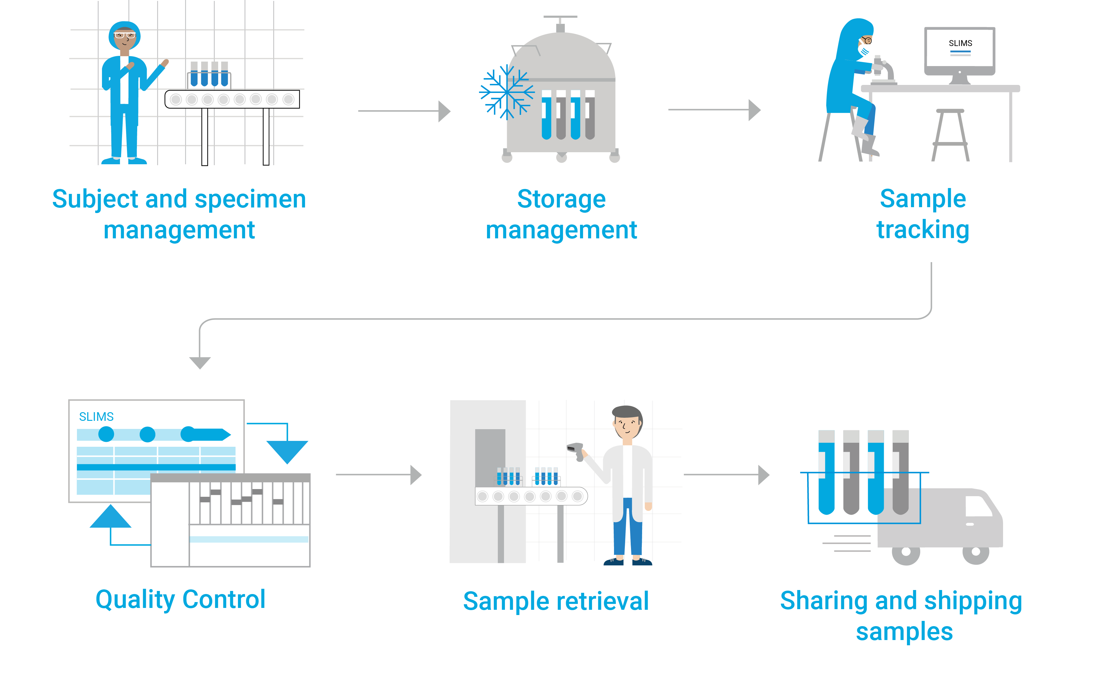 Picture of a Biobank Sample Life Cycle