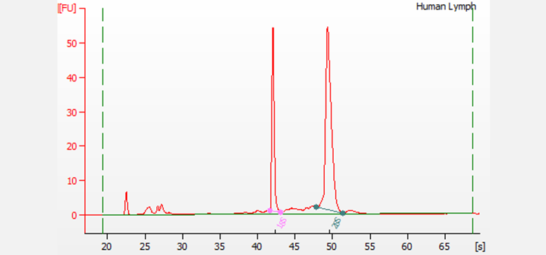 Total RNA sample on the Bioanalyzer