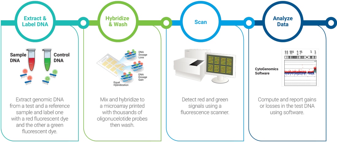 Complete CGH Assay Workflow