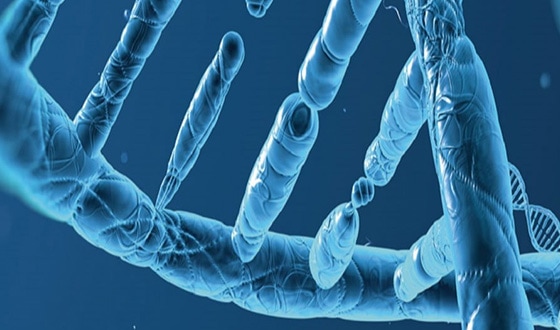 SureGuide Chemically Synthesized sgRNA
