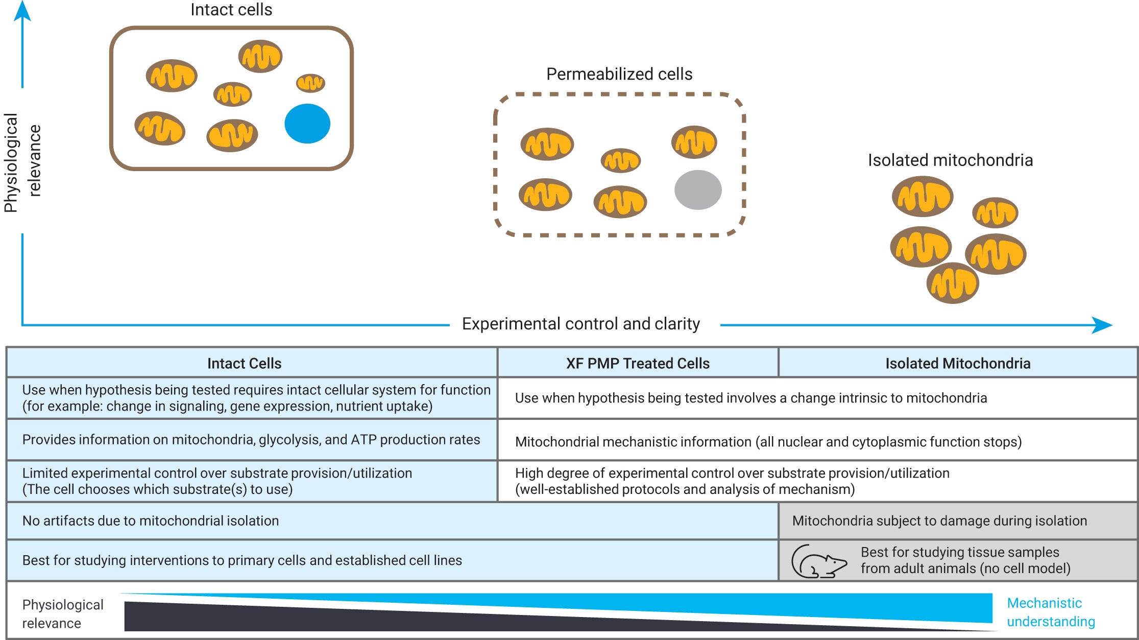 the XF assay