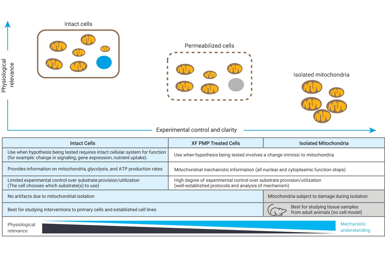 Group definition XFe96