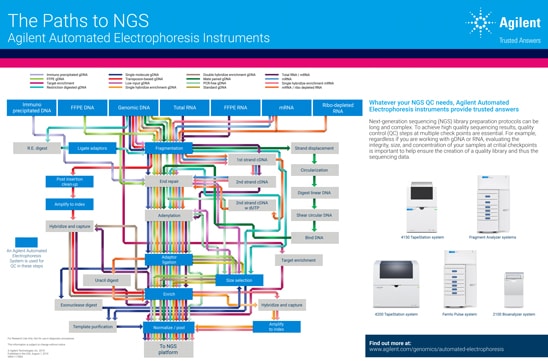 Would you like to have a free copy of this poster to hang in your lab
