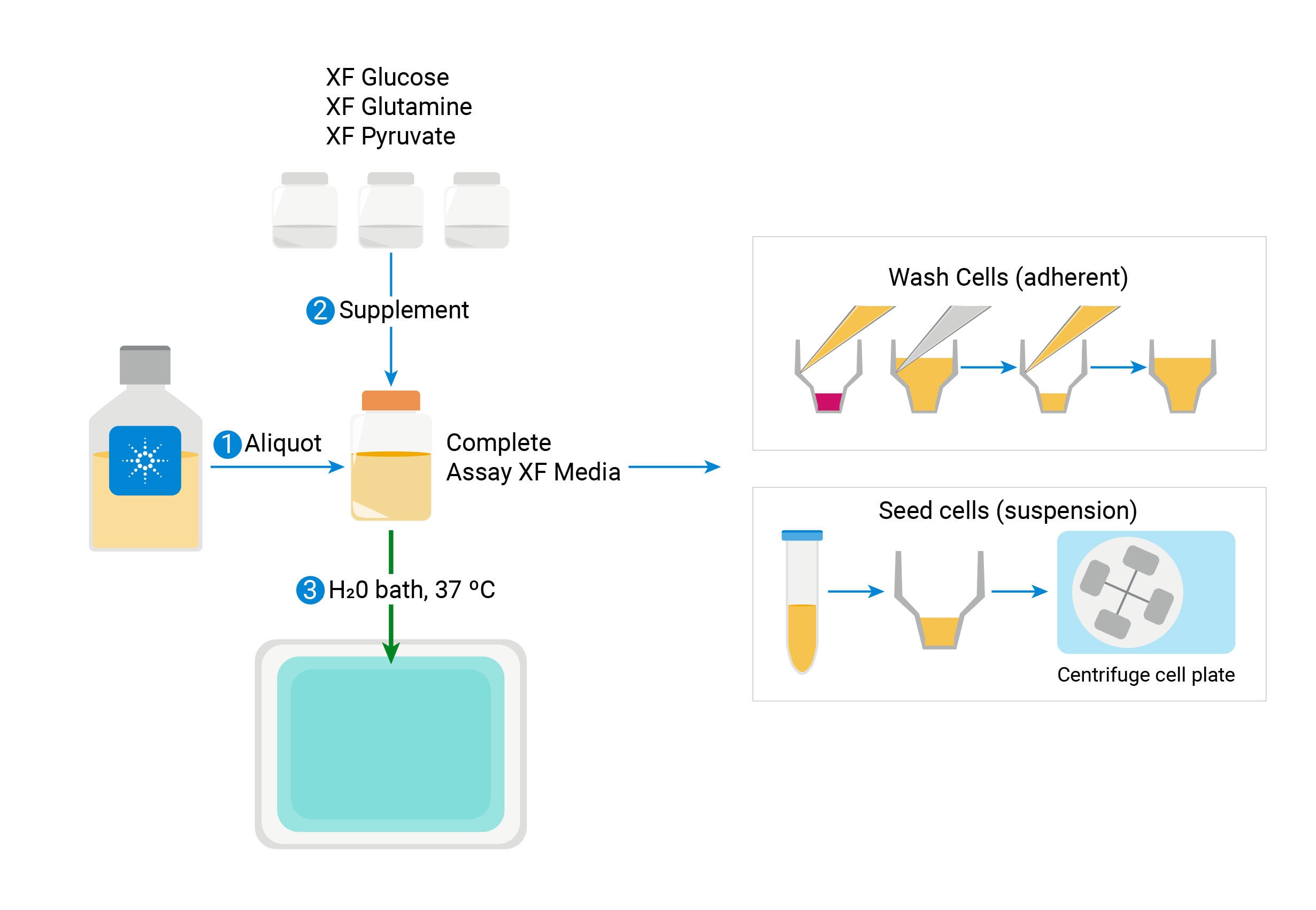 Preparing-media-XF-Pro-Learning-center