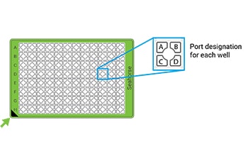XF96-day-of-loading-cartridges