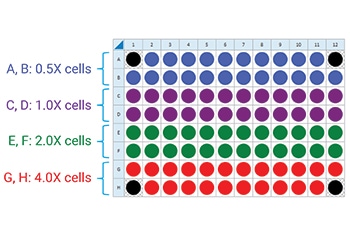 XFe96-Cell-Characterization-Figure-1