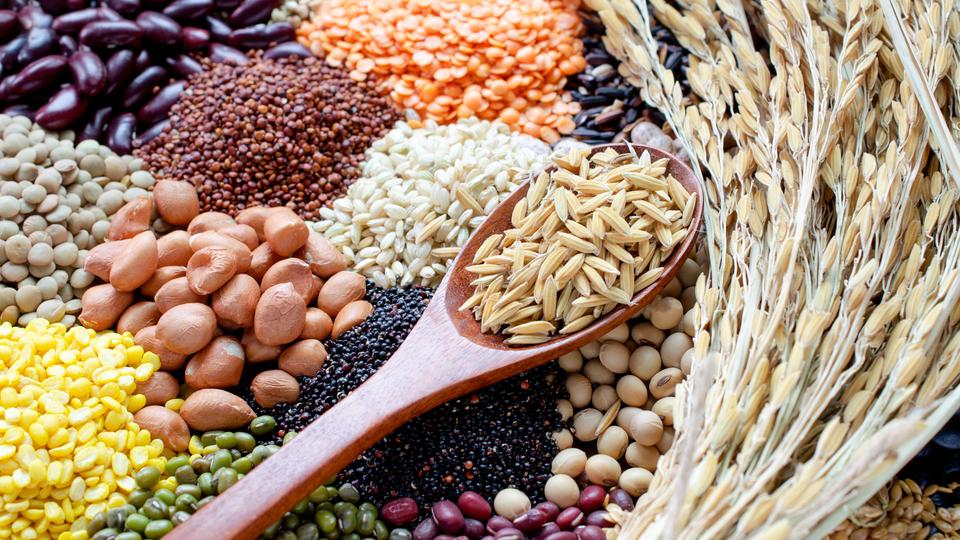A wooden spoon with rice surrounded by various grains and legumes, including lentils, peas, beans, and quinoa, with wheat stalks on the side.