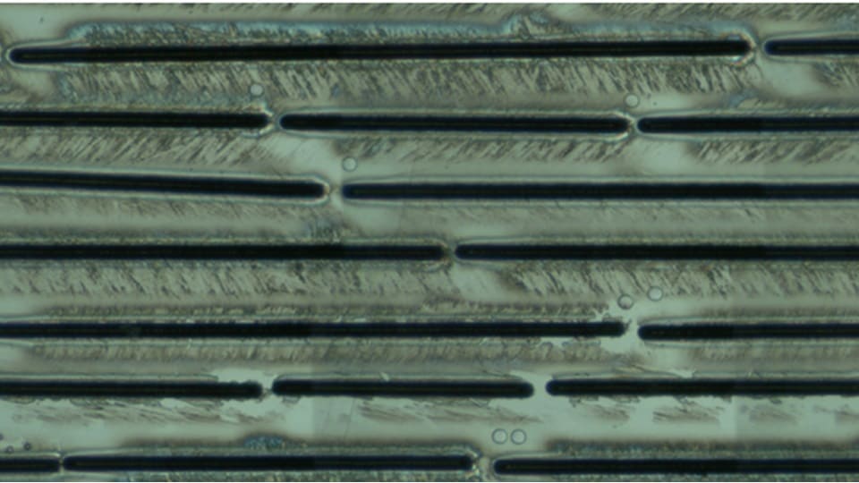 Close-up view of a piece of NIST standard glass after laser ablation (LA)-ICP-MS