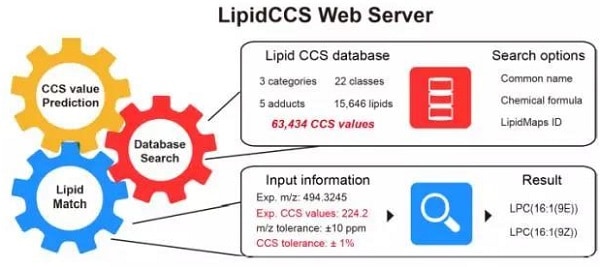 脂质分子CSS库