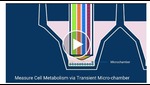 Transient Microchamber