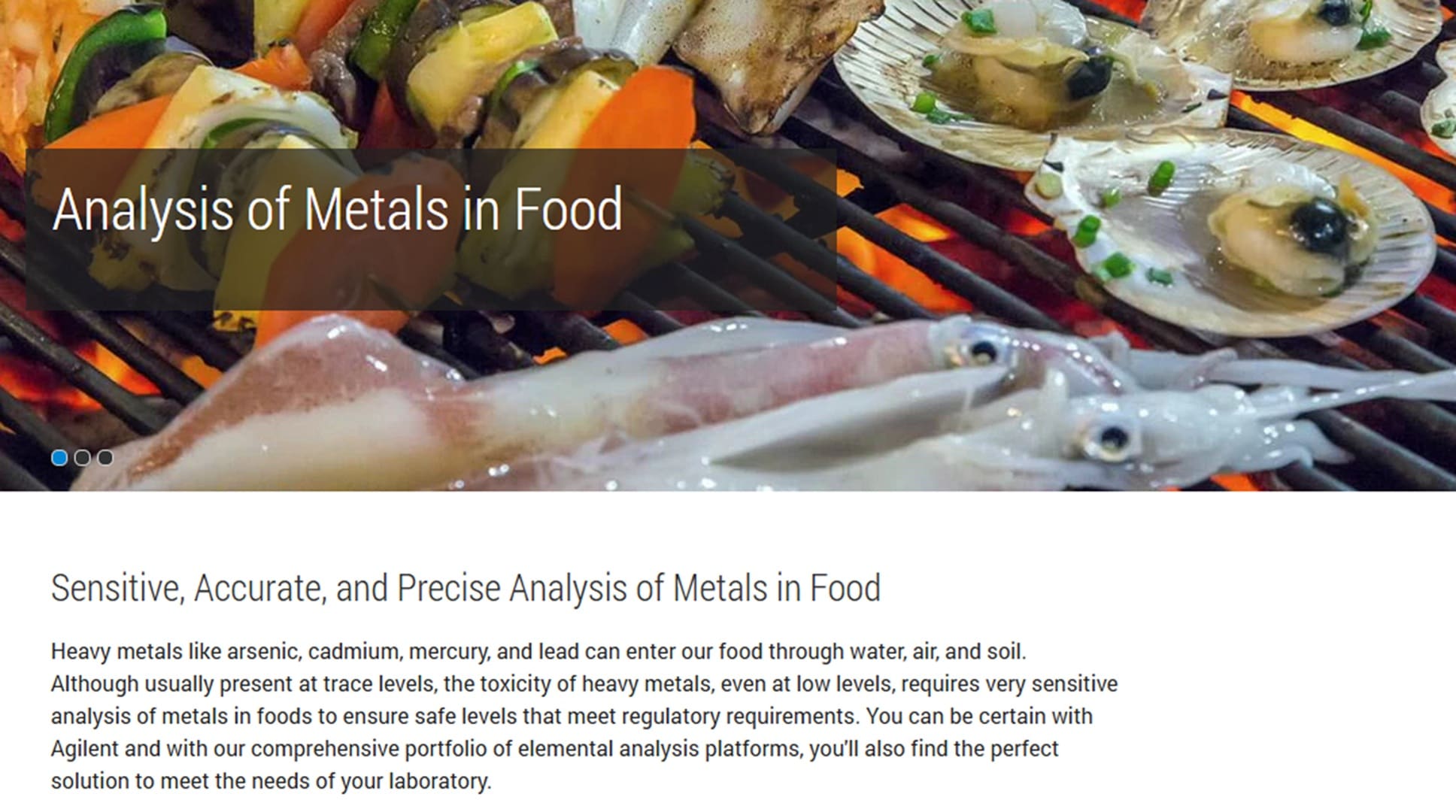 Close-up of seafood and vegetable skewers grilling, with text overlay 