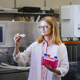 Dr. Daniela Barile, Ph.D.