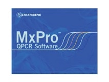 MX qPCR