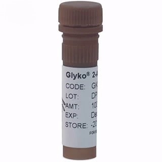 2-AA Labeled Glycans