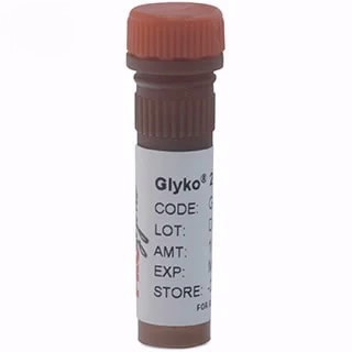 2-AB Labeled O-Glycan 2-AB Labeled O-Glycan